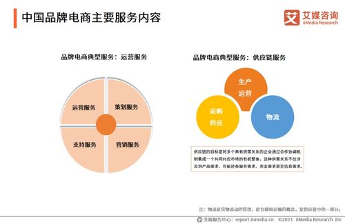 2023年中國品牌電商服務(wù)行業(yè)研究報告 信息咨詢服務(wù)引領(lǐng)新增長